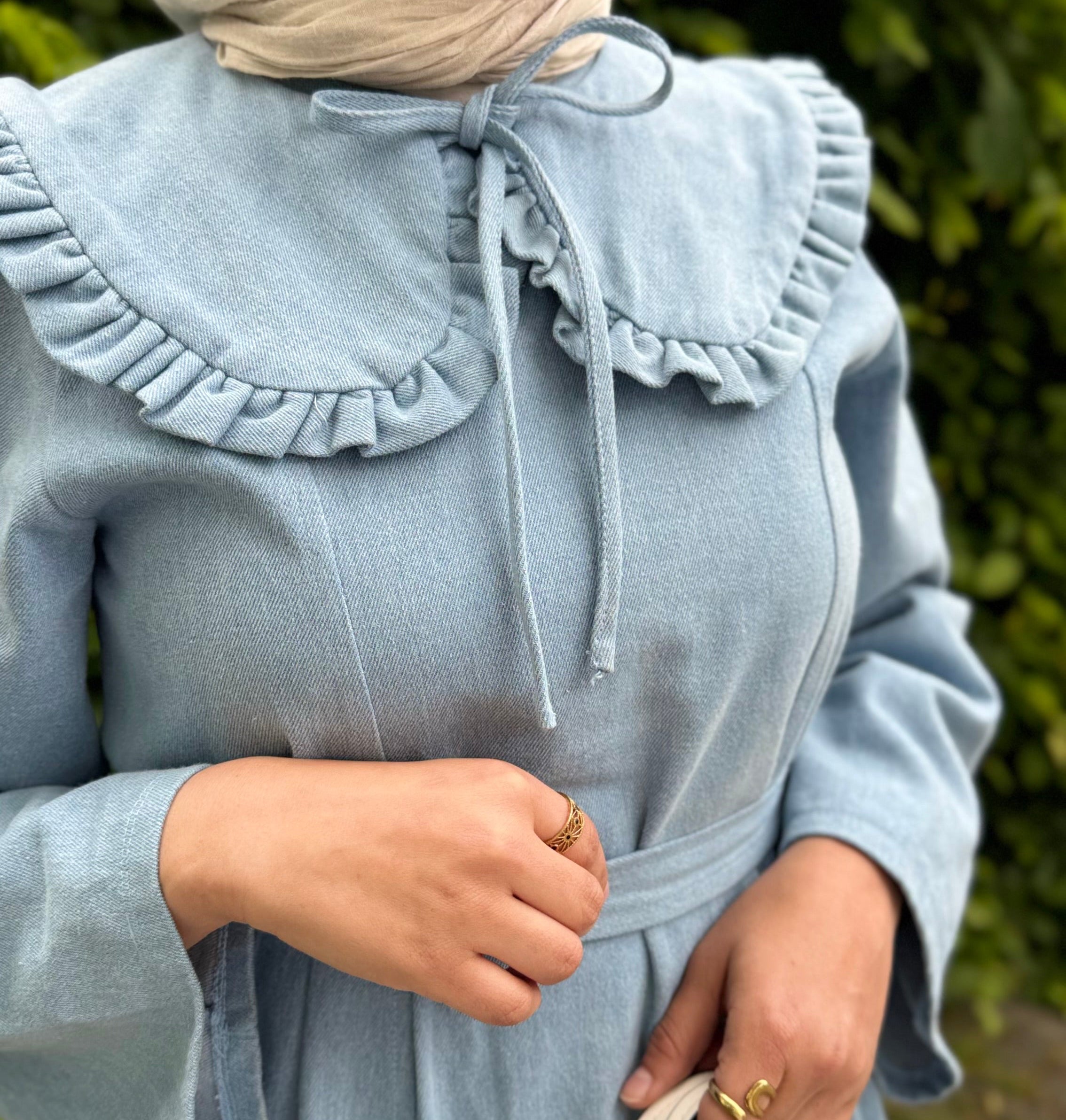 Bluebell Denim Dress
